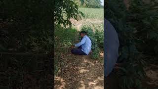 Funny call 😅🤙 By guddu sir 😎  youtubeshorts funny funnyvideo funnycall explore [upl. by Martelle]