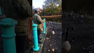 Newsham park travelling Adventure Nature Liverpool  Ononto khan New Short video [upl. by Shaper]