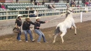 Wild Horse Race 2018 San Carlos AZ Veterans Rodeo [upl. by Kcirdlek346]