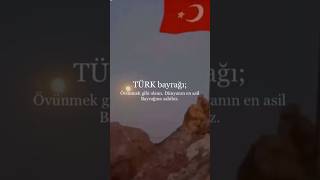 “Bayrağı bayrak yapan üstündeki kandır”🇹🇷🐺 keşfet türkiye meryemzeynep islam bozkurt [upl. by Gilead259]