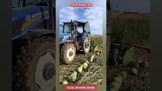 China ka minted dimagtarbuj ki machinon se tode jaate HainChina farmer machinewatermelon farmer [upl. by Shirberg]