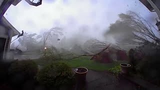 Every tree in this Michigan yard came down during tornado conditions [upl. by Legyn]