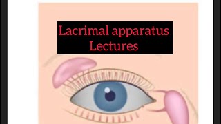 Lacrimal apparatus lectures part 5 Eyelectures eyelectures lacrimalgland jatoi [upl. by Ohcirej95]