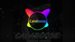 CalaBoose Sidhu moose wala Slowed Reverb exported [upl. by Dustman]