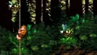 Donkey Kong Country  101 Walkthrough Part 13  Forest Frenzy [upl. by Martine]