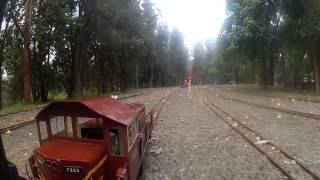 73 class at Illawarra live steamers [upl. by Sellihca197]