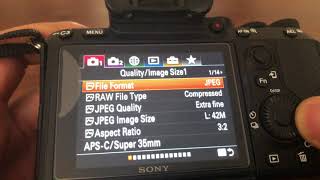 Sony A7riii A7iii A7rii a7ii A7sii  FACTORY SETTINGS RESET  HOW TO [upl. by Ecertal]