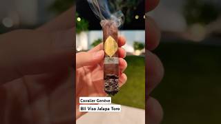 💨🔥CAVALIER Genève BII Viso Jalapa🌙 cigar cigars cigarlife lighter asmr shorts [upl. by Delanty]