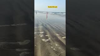 Diveagar Beach Viewvibesdeveagarkokanbeachtrending viral shortvideobeach happylifeenjoy [upl. by Dahle]