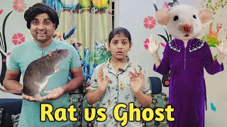 Rat vs Ghost 👻 🐀  comedy video  funny video  Prabhu sarala lifestyle [upl. by Lucie964]