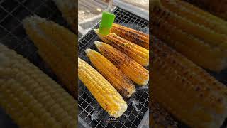 Lets make and eat healthy corn බඩ ඉරිගු 😋🔥😱 healthy corn nature mrcookup [upl. by Leirea891]