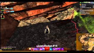 GW2 Lost Badges Silverwastes Achievement Guide [upl. by Mckenna692]