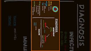 Part 33 Hepatitis B Diagnosis usmle [upl. by Inhoj]