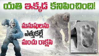 YETI గురించి ఎవరికీ తెలియని రహస్యం  The Untold Mystery of YETI [upl. by Bryner]