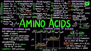 Amino Acids  Macromolecules 01  Biochemistry  PP Notes  Lehninger 6E Ch 31 [upl. by Boycey]