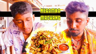 Negombo Machang Food Review  DRavana [upl. by Wehhtam185]