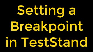 Setting a Breakpoint in TestStand [upl. by Kathrine69]