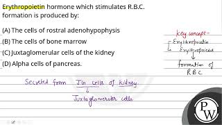 Erythropoietin hormone which stimulates RBC formation is produced by [upl. by Salazar661]