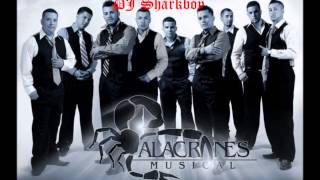 Alacranes Musical MixDJ Sharkboy [upl. by Sac889]