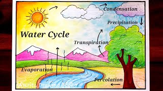 Water Cycle Drawing easy Water Cycle Diagram Water Cycle project Drawing How to Draw water cycle [upl. by Nosirb]