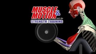 How Strength Training Works Get In Depth Knowledge with our 3D Anatomy Software [upl. by Oiciruam]