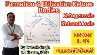 Formation amp Utilization of Ketone Bodies  Ketogenesis  Ketoacidosis  Biochemistry  BP203T  L36 [upl. by Ramahs]