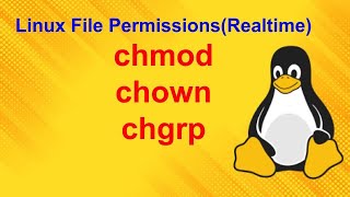 Linux File Permissions  chmod chown chgrp [upl. by Wayolle]