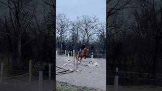 fashion klla horse equestrian horses eq fyp foryou [upl. by Butta738]