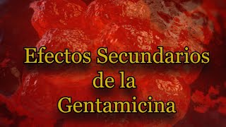 Efectos Secundarios de la Gentamicina [upl. by Nodlew487]