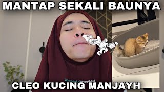 MANTAP SEKALI BAU YAKYAK CLEO🥲 CLEO KUCING GENIUS😳😱 [upl. by Gotcher]