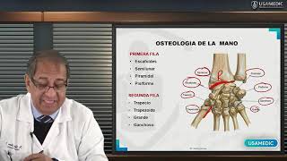 ANATOMÍA DE MIEMBRO SUPERIOR  MANO  Usamedic [upl. by Latsyrhc]