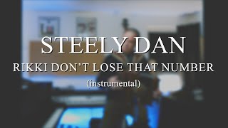 Steely Dan quotRikki Dont Lose That Numberquot 1974 acoustic instrumental [upl. by Lipps]