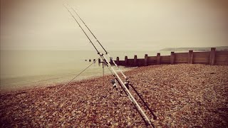 SHORE FISHING IN EASTBOURNE  A GREAT DAYS FISHING WITH A FEW SUPRISES UK SEA FISHING [upl. by Ainez]