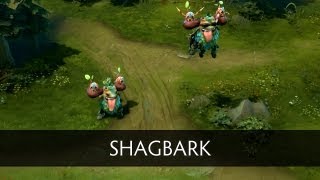 Dota 2 Courier  Shagbark [upl. by Hilar]