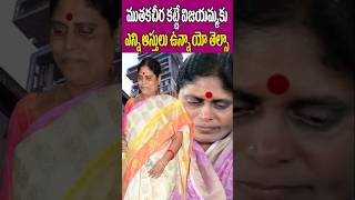 YS Vijayamma Lands and property Assets  YS Rajasekhara Reddys Wiffe  Net  Tollywood Nagaram [upl. by Anait668]