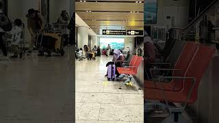 Discover Changi Airport amazingshorts changiairportarrival [upl. by Tobye]