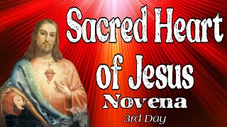 Sacred Heart of Jesus Novena  Day 3 Complete with Litany [upl. by Olivette]