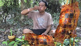 Wilderness Cooking Skill  Roasted Pork Belly Hot Chili Garlic Recipe Eating So Crispy [upl. by Recnal]