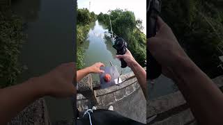 Learn carefully how to set up and fishing by automatic fishing rod and reelfishinggear fishing [upl. by Draned]