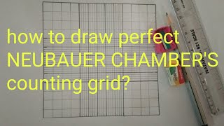 How to Draw Neubauer Chamber Counting grid  Neubauer Chamber Diagram  DrMKarthika [upl. by Almire833]