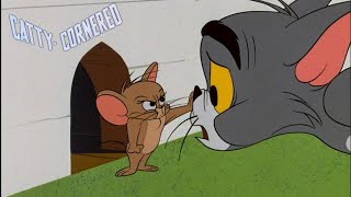 CattyCornered 1966 Tom and Jerry Cartoon Short Film  Review [upl. by Ahsilaf395]