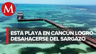 Esta playa de Cancún está libre de sargazo ¿cómo lo logró [upl. by Hamer576]