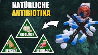 Die 8 Besten Natürlichen Antibiotika [upl. by Othilie]