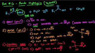 Amide Hydrolysis [upl. by Erek]