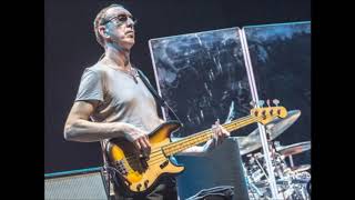 Pino Palladino Bass  Bluestrut [upl. by Savadove]