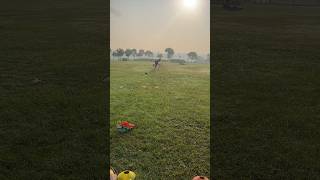 trying to Yorkers cricket viralvideo trending viralshorts cricketlover yorkers youtubeshorts [upl. by Jacobba]