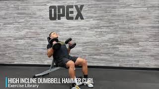 High Incline Dumbbell Hammer Curl [upl. by Noe]