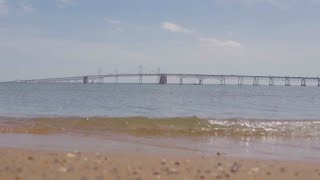 What condition are the Bay Bridges in Heres what a report from the MDTA says [upl. by Latisha]