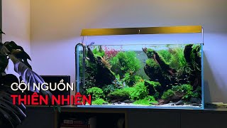 HỒ THỦY SINH W9Ocm BỐ CỤC LÕM  CỘI NGUỒN THIÊN NHIÊN [upl. by Christen]