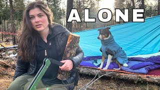 Solo Survival Camping  No tent Coyotes amp Bushcraft [upl. by Fernanda]